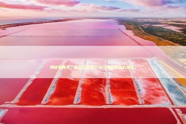 揭秘情降术，谁真正掌握了这门情感修复的奥秘？