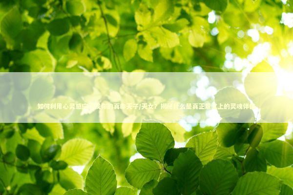 如何利用心灵感应寻找你的真命天子/天女？揭秘什么是真正意义上的灵魂伴侣