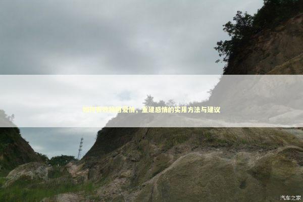 如何有效挽回爱情，重建感情的实用方法与建议