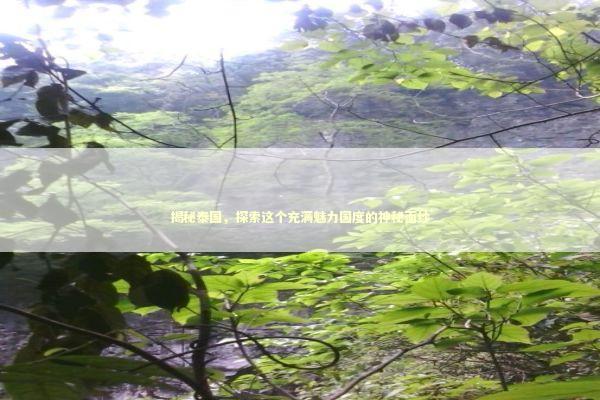 揭秘泰国，探索这个充满魅力国度的神秘面纱