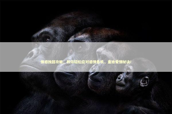 情感挽回攻略，教你轻松应对感情危机，重拾爱情秘诀！