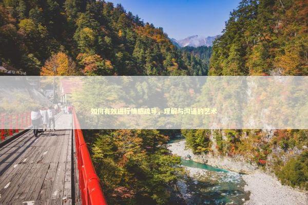 如何有效进行情感疏导，理解与沟通的艺术