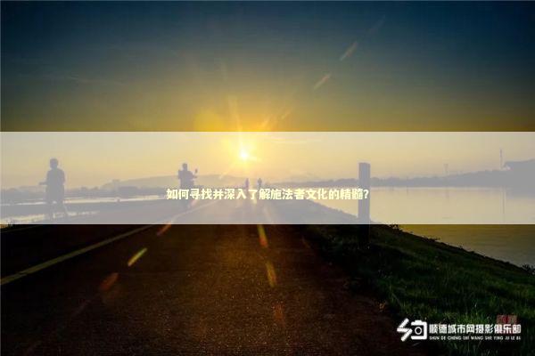 如何寻找并深入了解施法者文化的精髓？