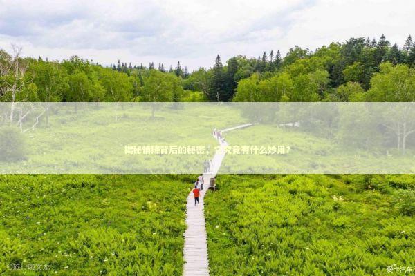 揭秘情降背后的秘密，它究竟有什么妙用？