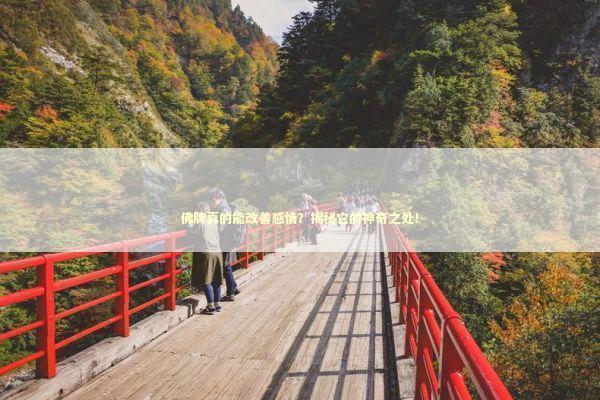 佛牌真的能改善感情？揭秘它的神奇之处！