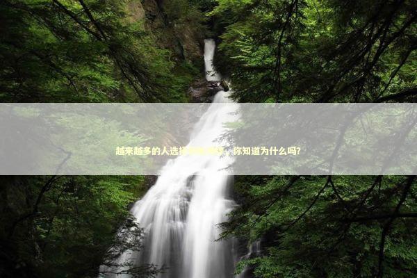 越来越多的人选择佩戴佛牌，你知道为什么吗？