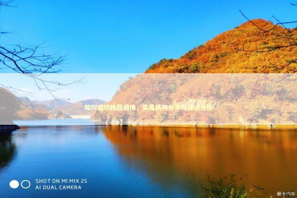 如何成功挽回感情，实用技巧分享与建议分析