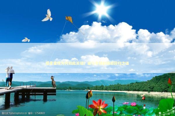 爱意重现为何如此关键？谁与争锋的情感回归之道