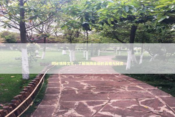 揭秘情降文化，了解情降背后的真相与秘密